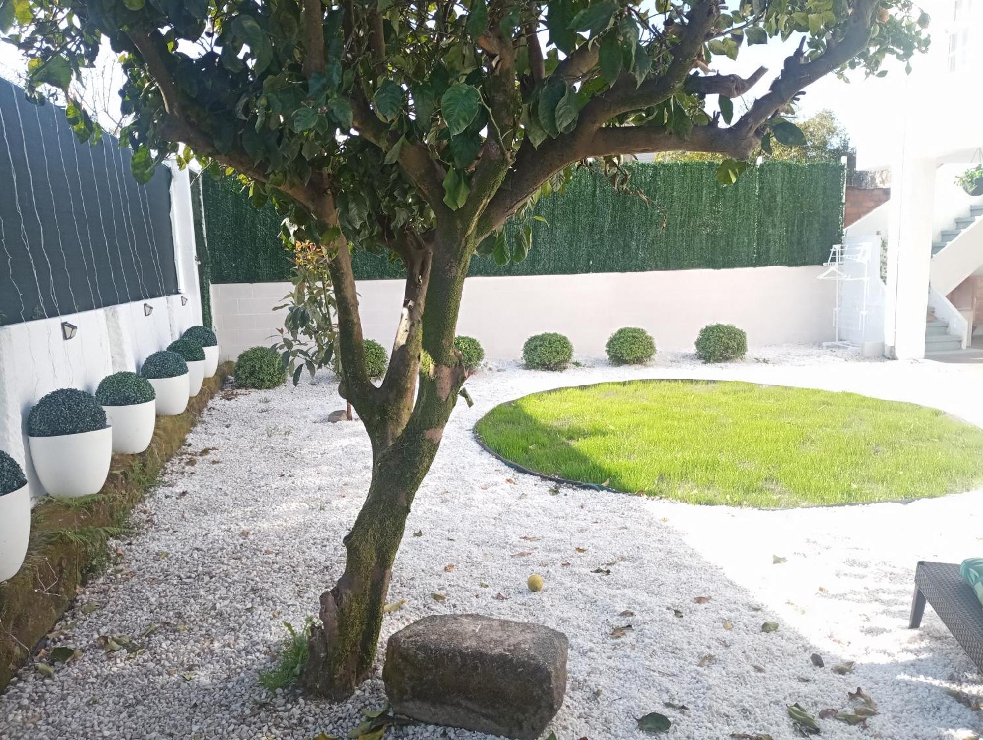 הוילה Padrón Casa Amelia 1ªp A 50 M Camino De Santiago חדר תמונה